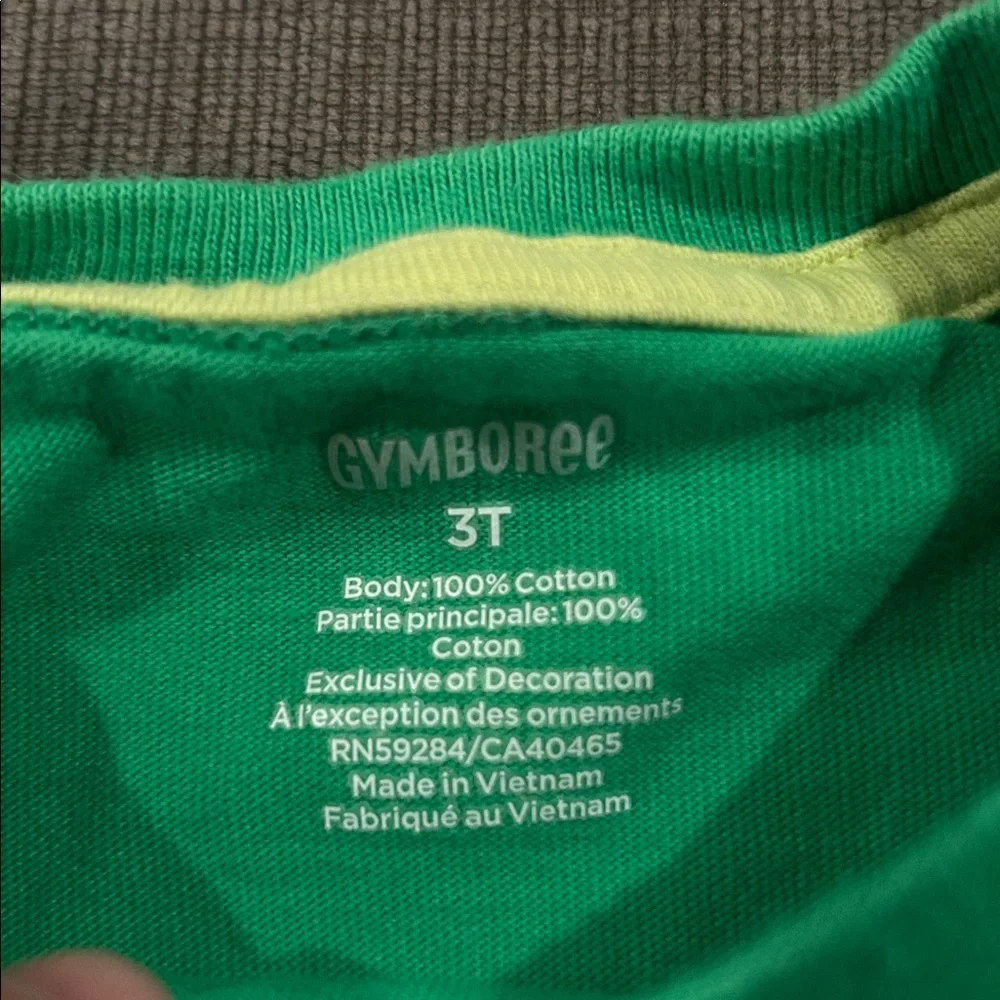 GYMBOREE St Patricksday T-Shirt Dog in pot of gold Toddler 3T